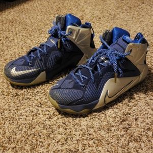 Nike Lebron James Sneakers